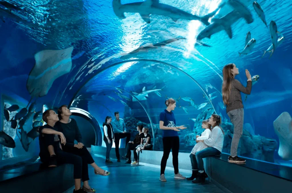 Aquarium national du Danemark Aquarium national du Danemark