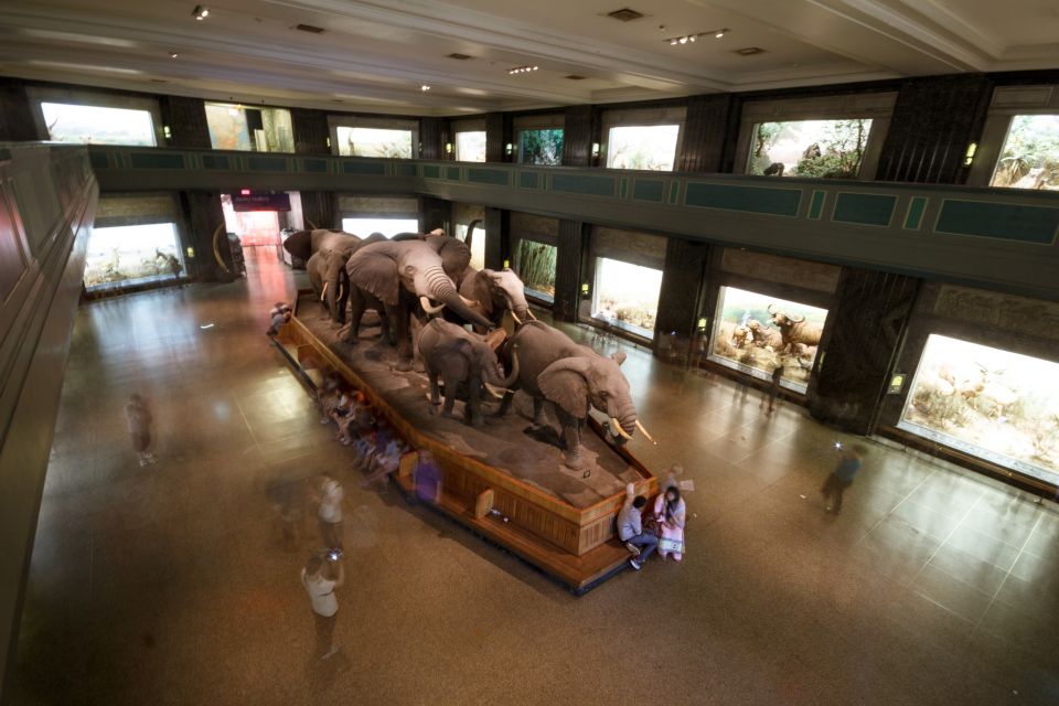 Muséum d’histoire naturelle de New York