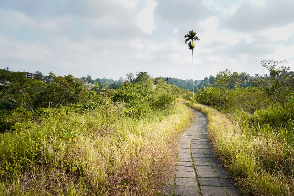 Que faire à Bali ? Les 17 meilleurs sites et activités 22 Campuhan Ridge Walk près d’Ubud au soleil du matin