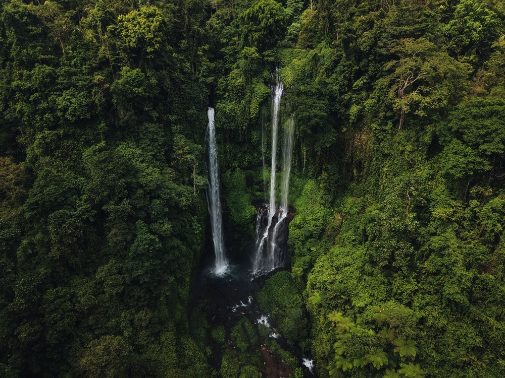 Que faire à Bali ? Les 17 meilleurs sites et activités 27 Cascades de Sekumpul dans la jungle du nord de Bali