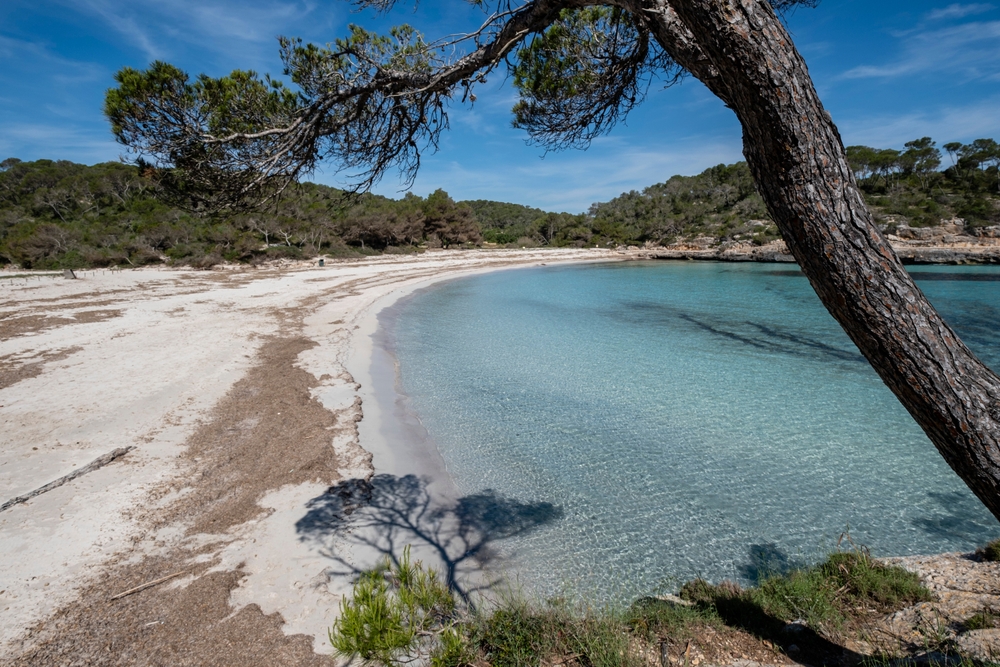 La plage de s’Amarador dans le parc naturel de Mondragó à Majorque