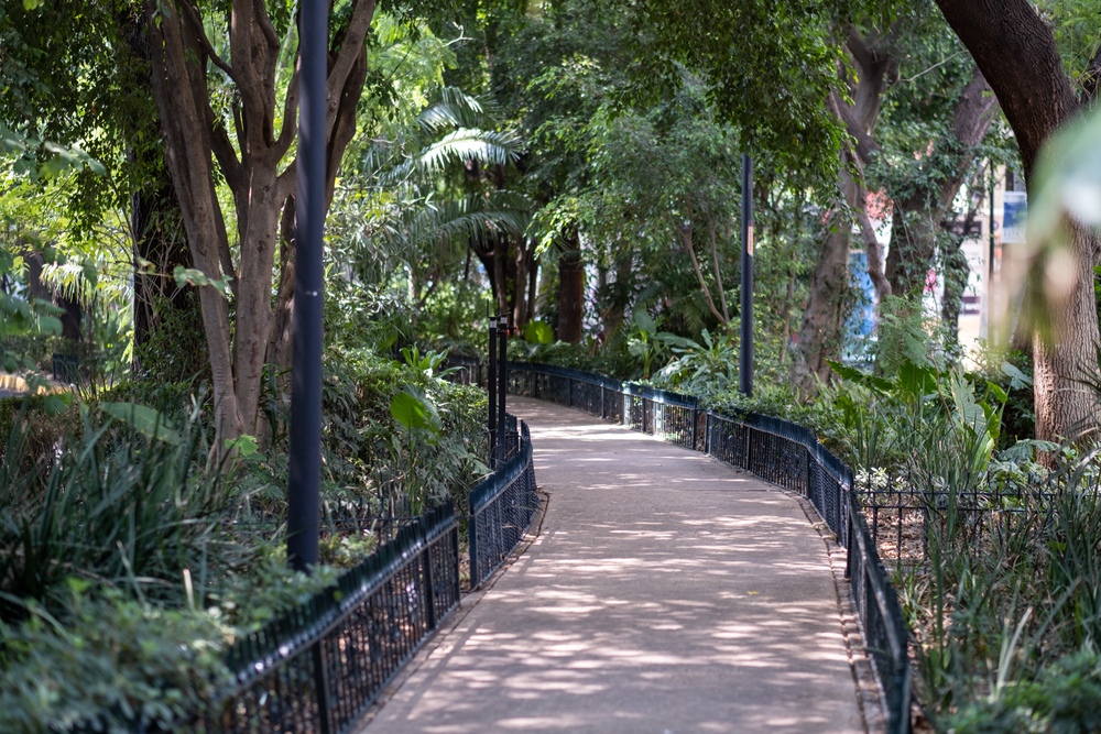 Où dormir à Mexico ? Les 6 meilleurs quartiers et de bons hôtels 10 L’allée centrale arborée de l’Avenida Ámsterdam dans le quartier de Condesa à Mexico