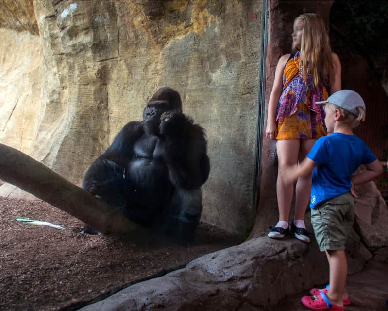 Le Bioparc Fuengirola sur la Costa del Sol
