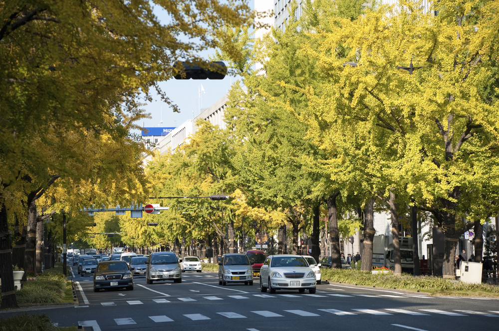 Où dormir à Osaka ? Les 4 meilleurs quartiers et de bons hôtels 9 Le boulevard Midosuji à Osaka en automne