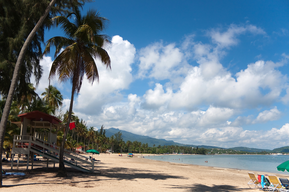 Où dormir à Porto Rico ? Les 7 meilleurs endroits et de bons hôtels 13 Palmiers le long de la plage de Luquillo à Porto Rico
