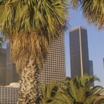 Que faire à Los Angeles ? 19 lieux à voir et activités