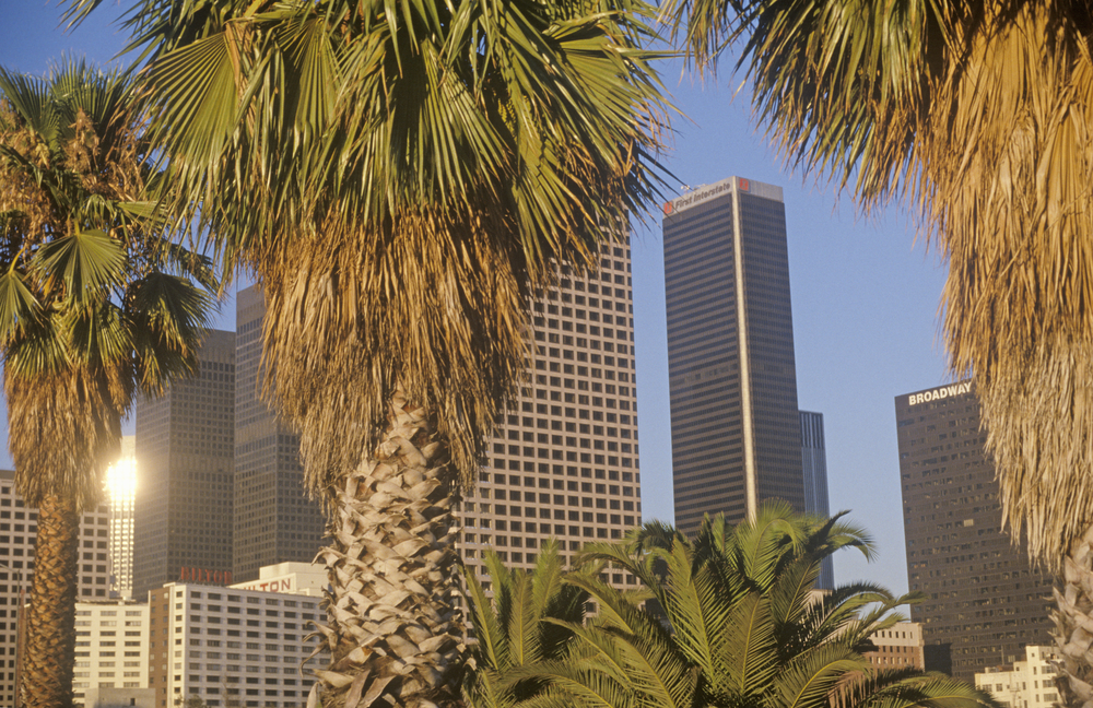 Downtown Los Angeles vu à travers les palmiers