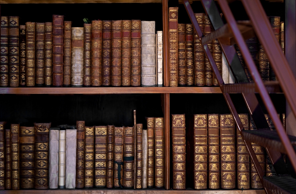 Que faire à Vienne ? 20 lieux à voir et activités 26 Salle d’apparat de la Bibliothèque nationale d’Autriche à Vienne