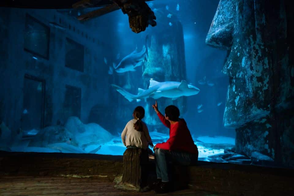 Aquarium de Londres