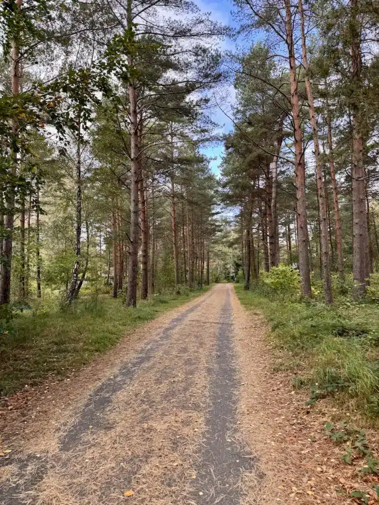 Avis sur l’Ystad Saltsjöbad : est-ce encore le meilleur hôtel spa de Scanie ? 🤔 20 avis ystad saltsjobad 1 c19e0