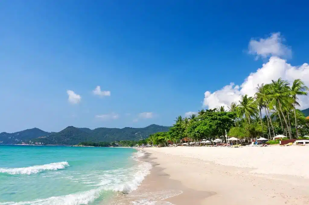Où dormir à Koh Samui ? Les 5 meilleurs quartiers et hôtels (+ ceux à éviter) 🇹🇭 64 Chaweng, le meilleur quartier où dormir pour l’ambiance
