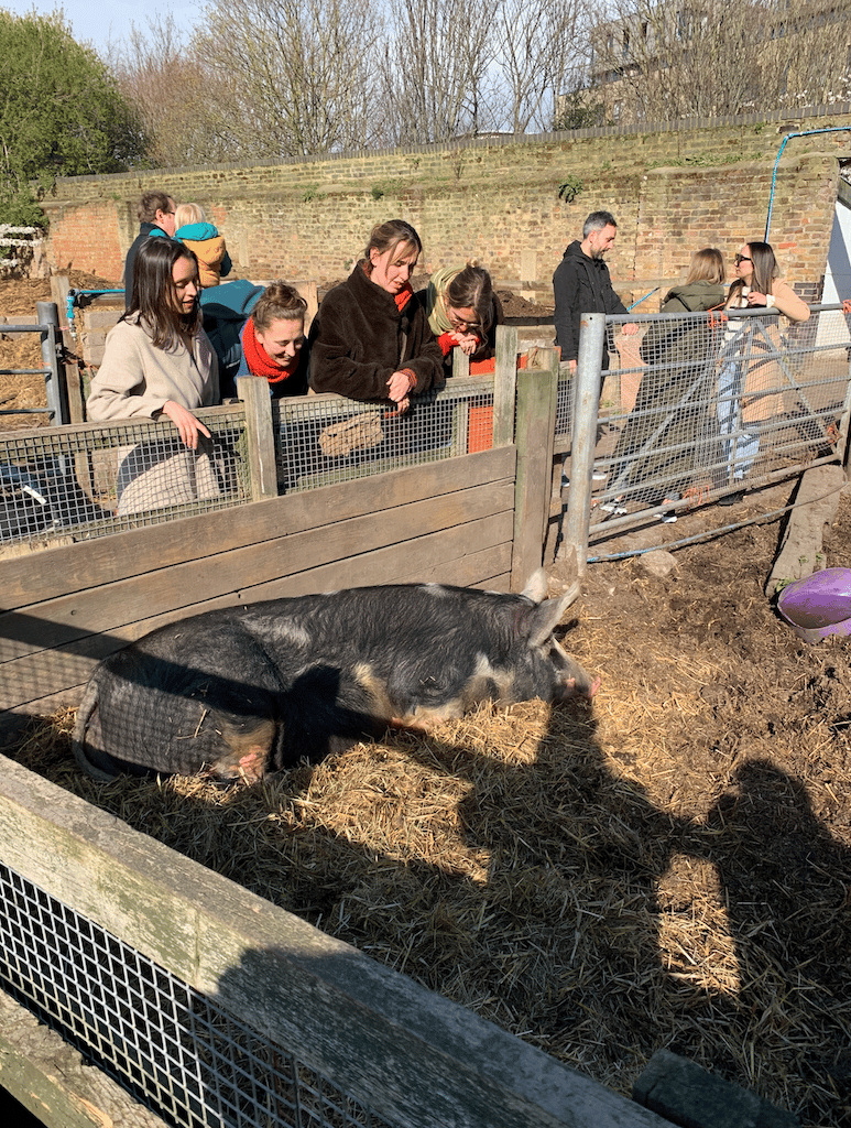 Des visiteurs à la ferme urbaine Hackney City Farm à Londres