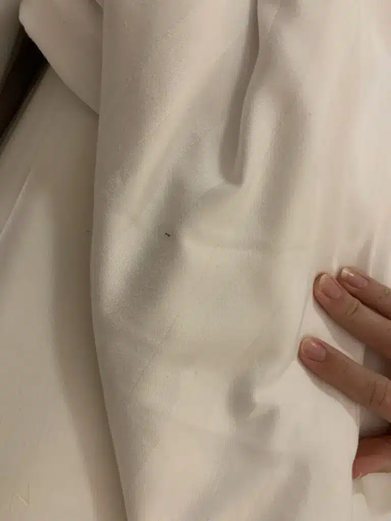 Alua Suites Fuerteventura avis 🚩 Une crotte dans la piscine et des chambres sales avec des fourmis ! 17 Fourmis dans le lit