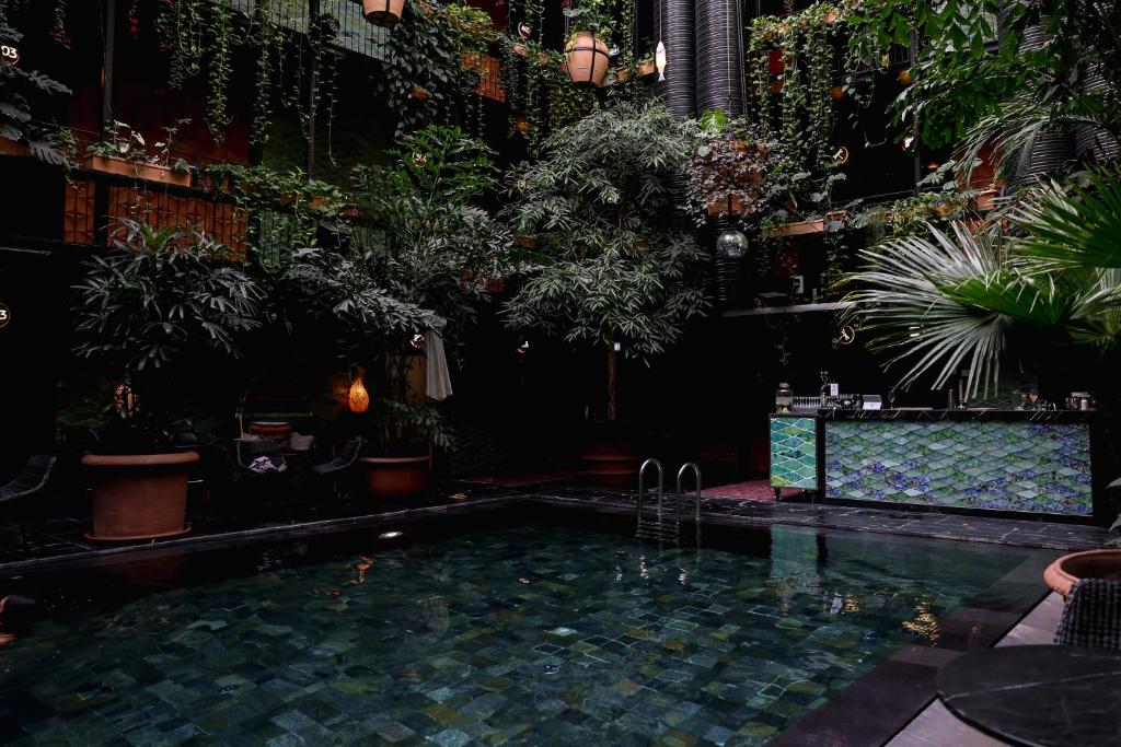 Hôtel avec piscine à Copenhague : les 8 meilleurs hôtels de la capitale danoise 🏊🏻 27 Hôtel avec piscine de style balinais dans le centre de Copenhague