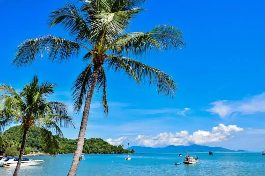 Où dormir à Koh Samui ? Les 5 meilleurs quartiers et hôtels (+ ceux à éviter) 🇹🇭 81 Mae Nam à Koh Samui