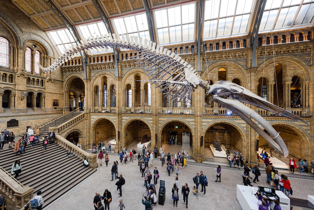 Muséum d’histoire naturelle de Londres