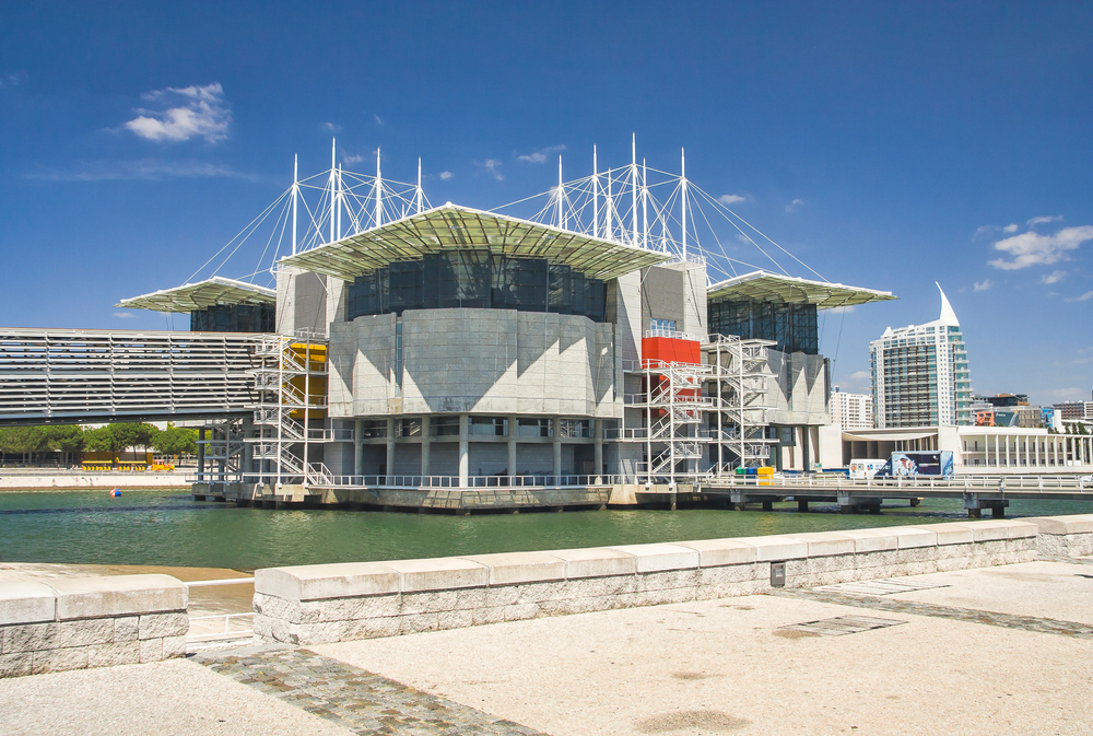 Que faire à Lisbonne ? 20 lieux à voir et activités 39 Oceanário de Lisboa dans le Parque das Nações