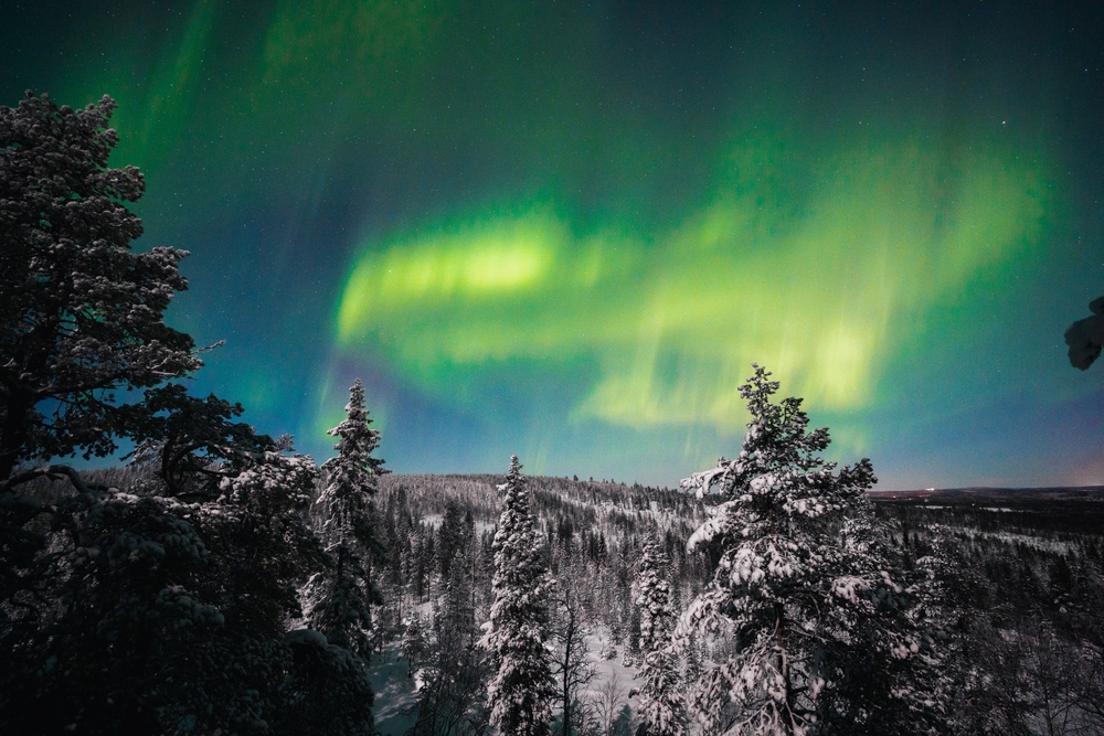 Aurores boréales vertes au-dessus de Rovaniemi, en Laponie finlandaise