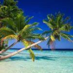 Où dormir aux Maldives ? Les 6 meilleures îles + hôtels où séjourner 🏝️