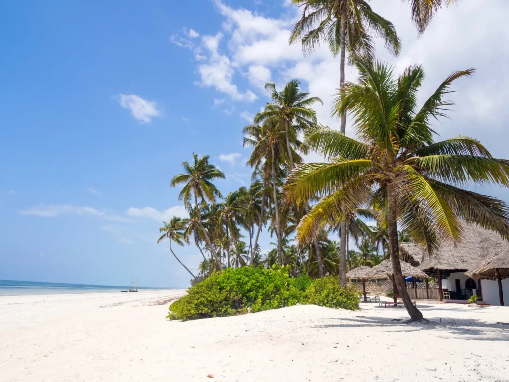 Où dormir à Zanzibar ? Les 4 meilleurs quartiers + hôtels (et où ne pas loger !) 🇹🇿 17 Paje, le meilleur endroit où dormir à Zanzibar pour une ambiance jeune et décontractée