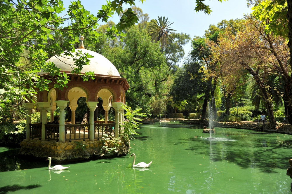 Des cygnes sur l’étang aux canards près du pavillon du parc de María Luisa à Séville