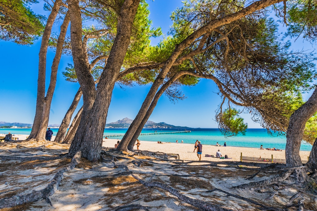 Plage de Can Picafort à Majorque