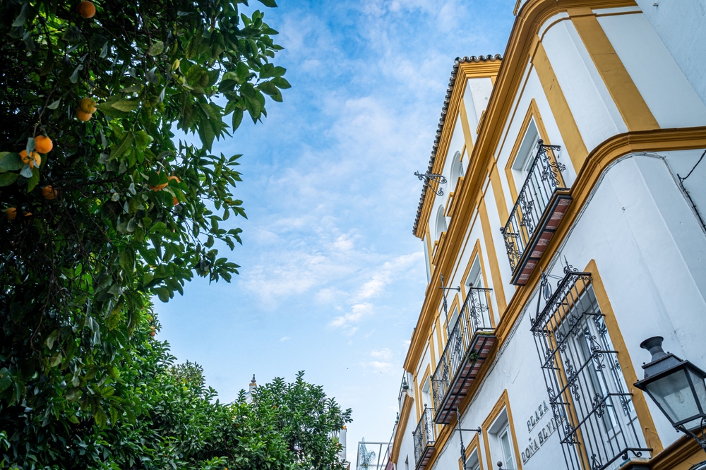 Une rue de Santa Cruz, l’ancien quartier juif de Séville