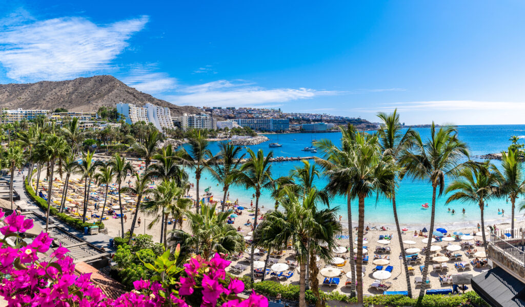 La plage d’Anfi del Mar en Grande Canarie avec des palmiers, des parasols et une eau turquoise