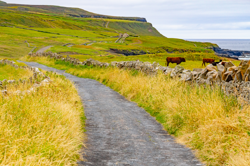 Le village de Doolin avec ses maisons et ses champs dans le County Clare